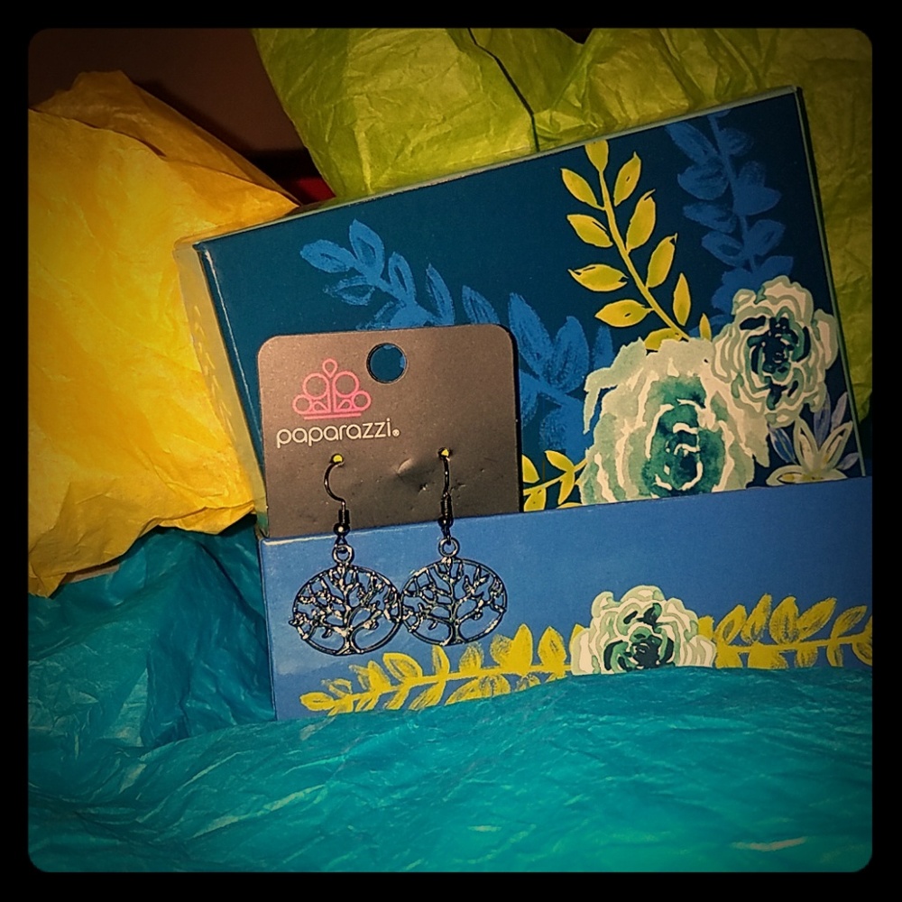 NWT EARRINGS GIFT BOX INCLUDED